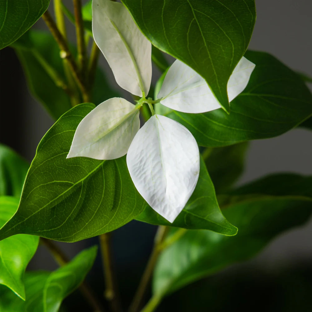Kunstbaum Magnolia & Ficus – Elegante Deko für Hochzeit, Garten & Zuhause (82–144 cm)