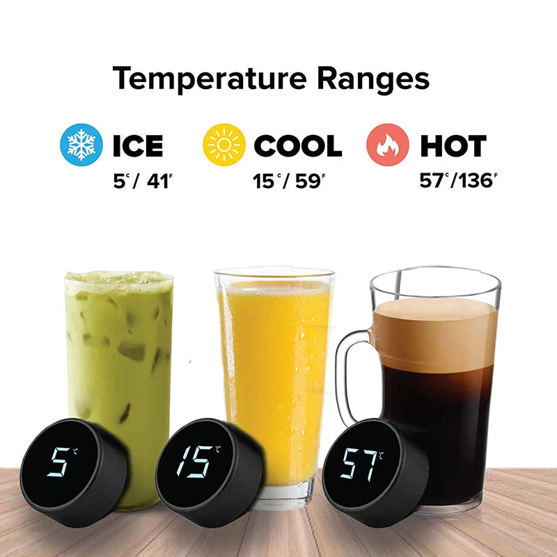 Thermos Trinkflasche 450ml – Edelstahl mit LED Temperaturanzeige & Teefilter