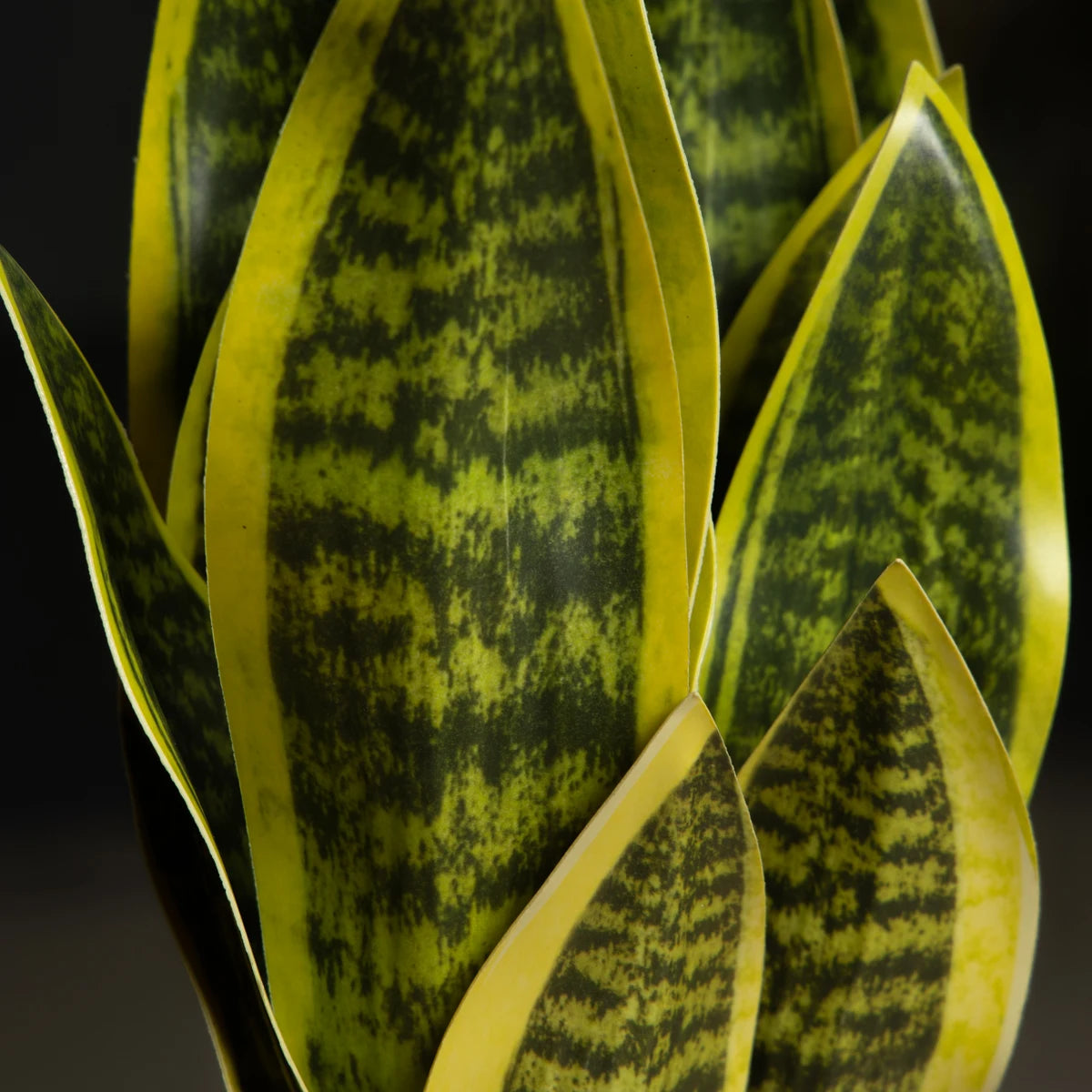 Künstliche Sansevieria 32–37 cm – Schlangenpflanze für Büro & Balkon