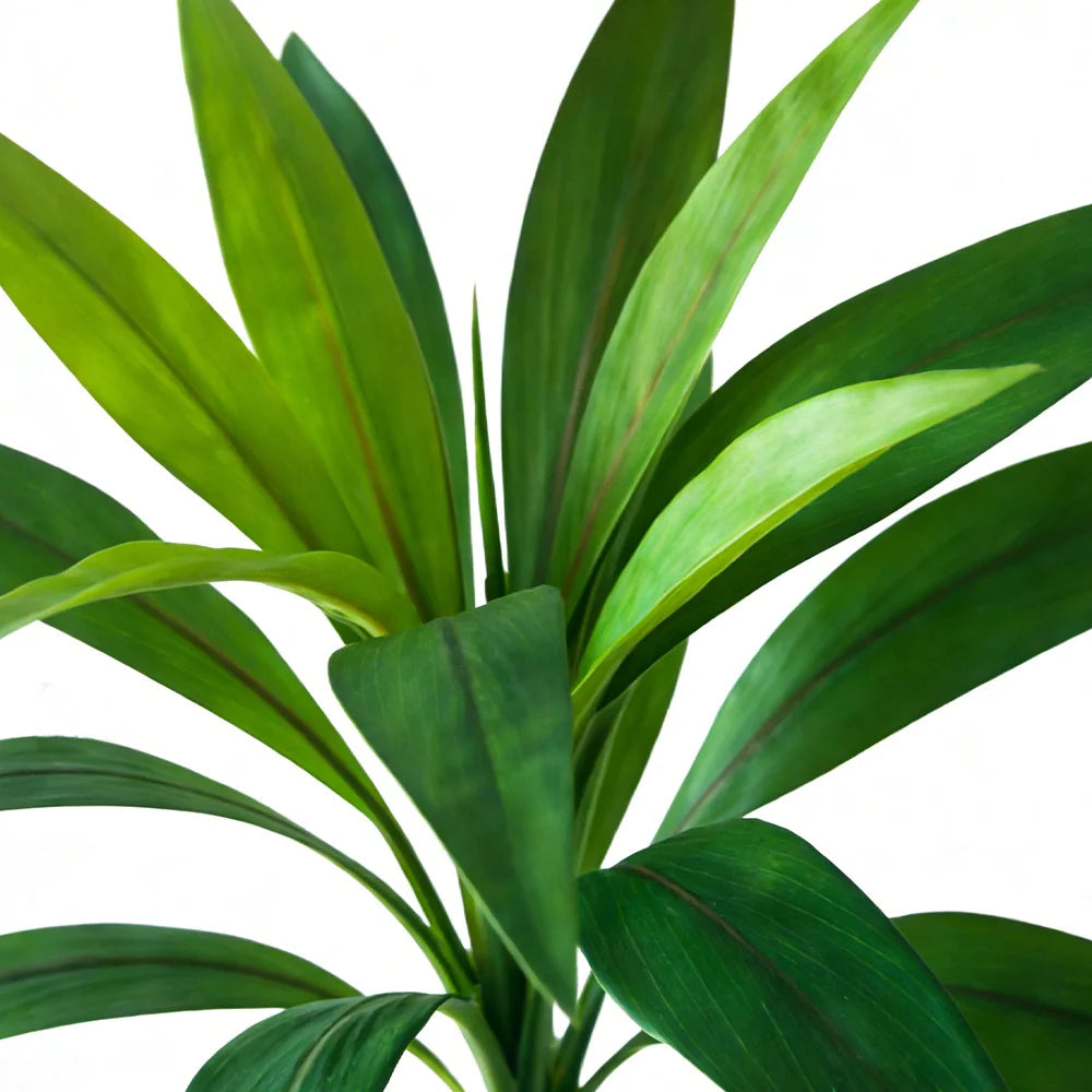 Künstliche Dracaena Palme 45 cm – Tropische Kunstpflanze für Heim & Garten