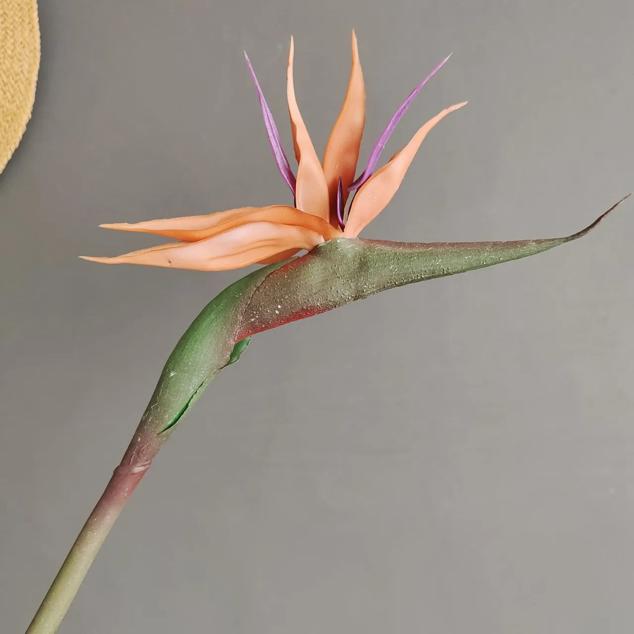 Große Künstliche Strelitzie – Paradiesvogelblume für Heim & Büro