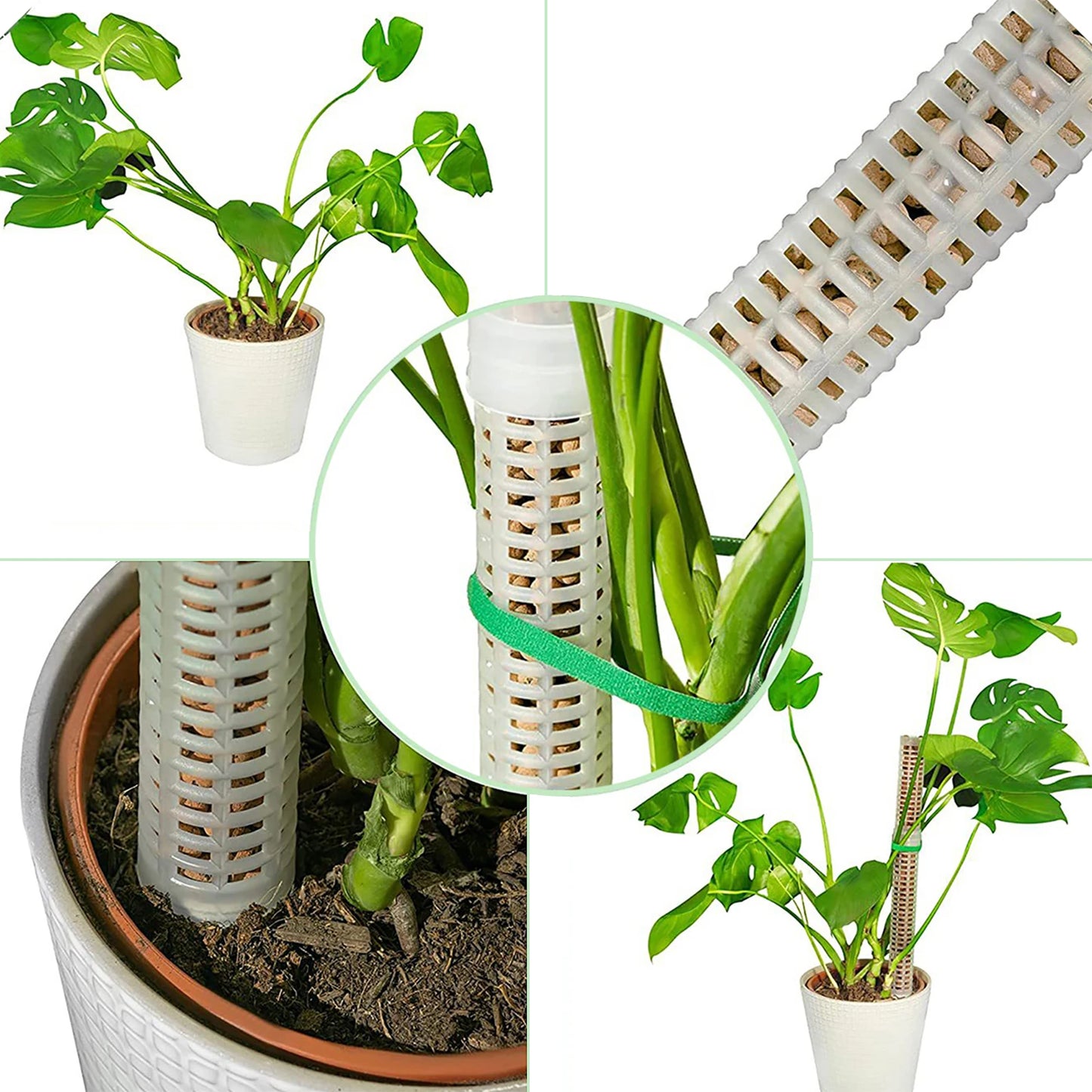 Pflanzen Rankhilfe – Moosstab & Kletterhilfe für Monstera & Zimmerpflanzen