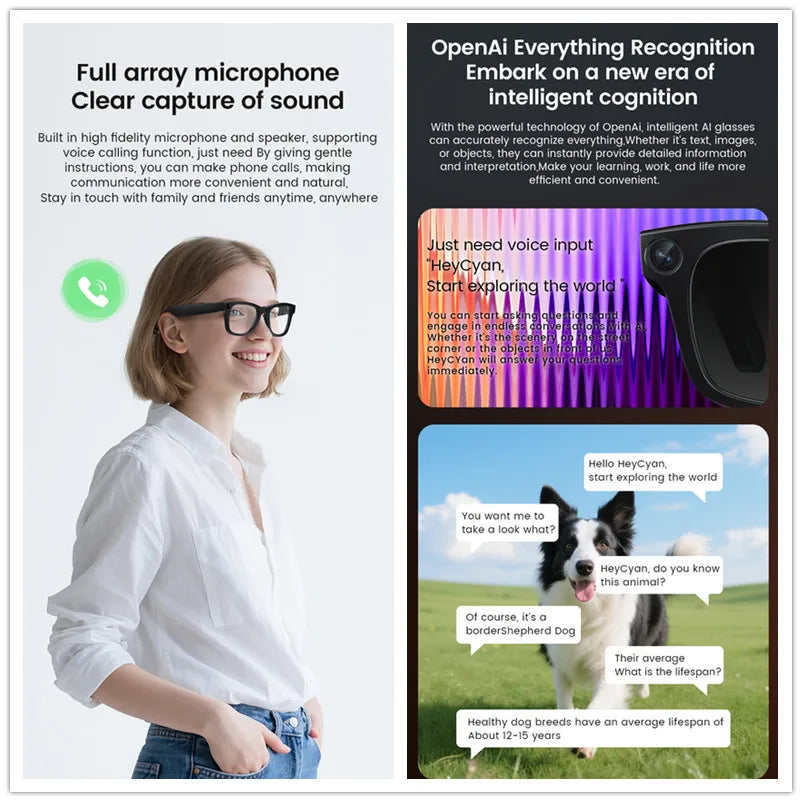 Hiwego HI-E02C KI Smart Brille – 800W Kamera, Electrochromic Glas & ChatGPT