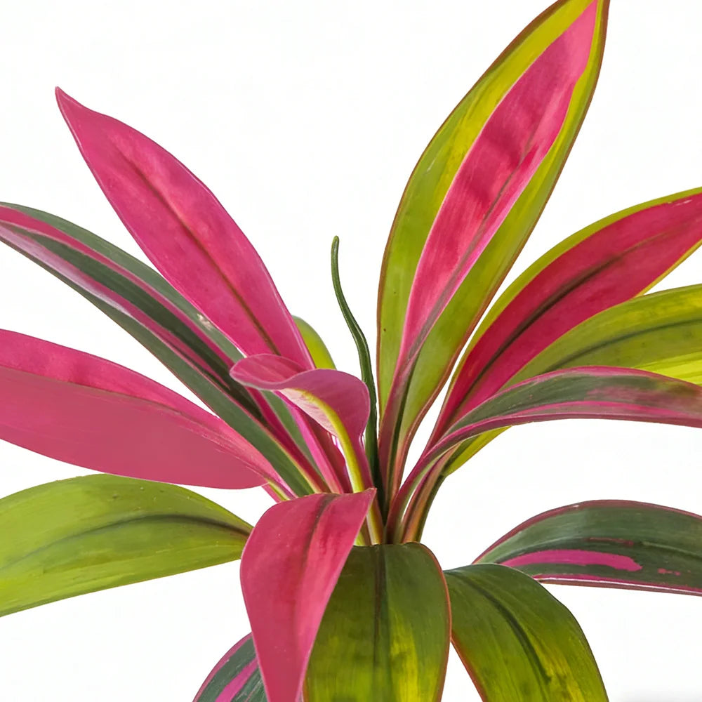 Künstliche Dracaena Palme 45 cm – Tropische Kunstpflanze für Heim & Garten