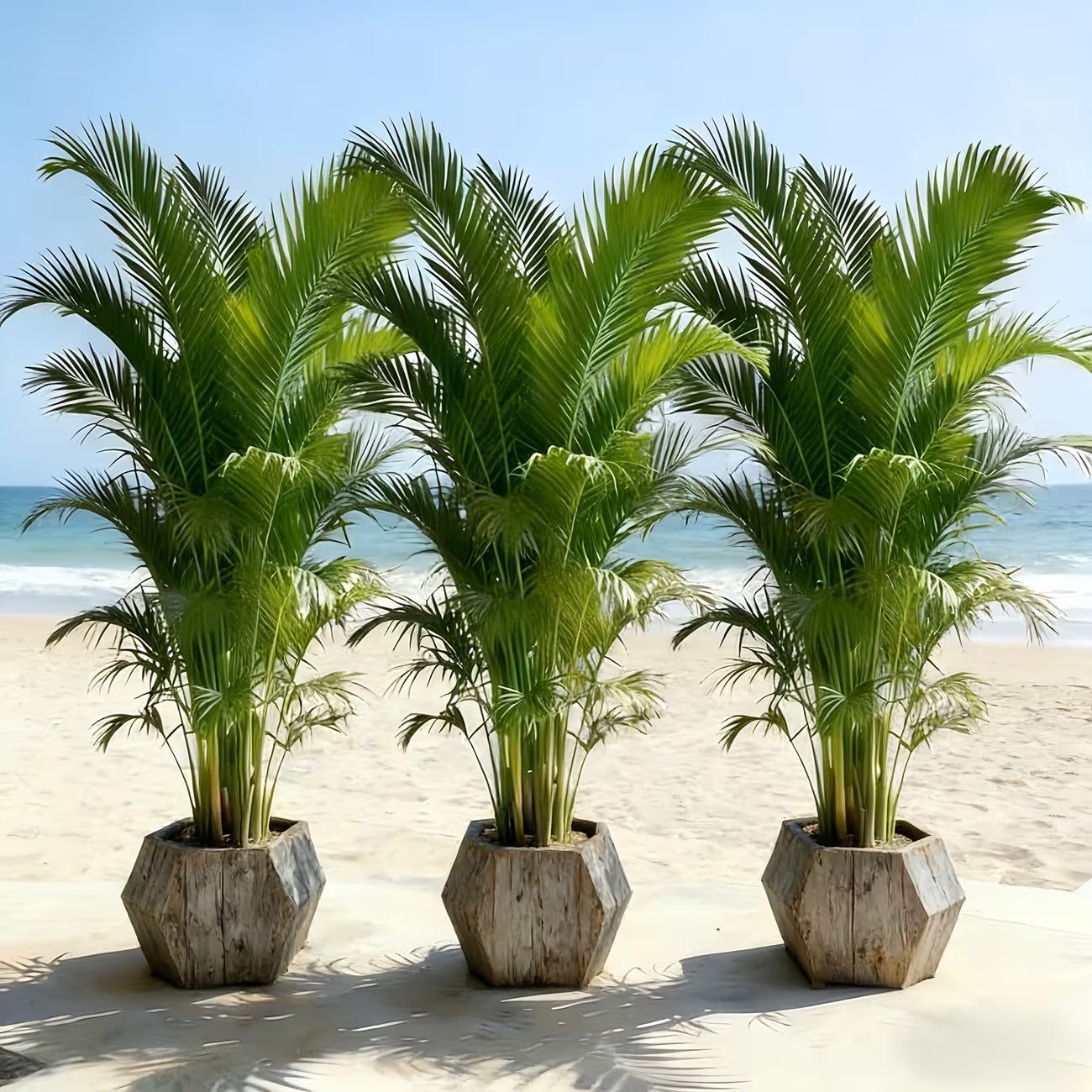 Große künstliche Palme mit 36 Blättern, 3 Stück