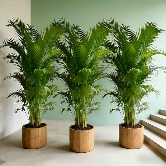 Große künstliche Palme mit 36 Blättern, 3 Stück